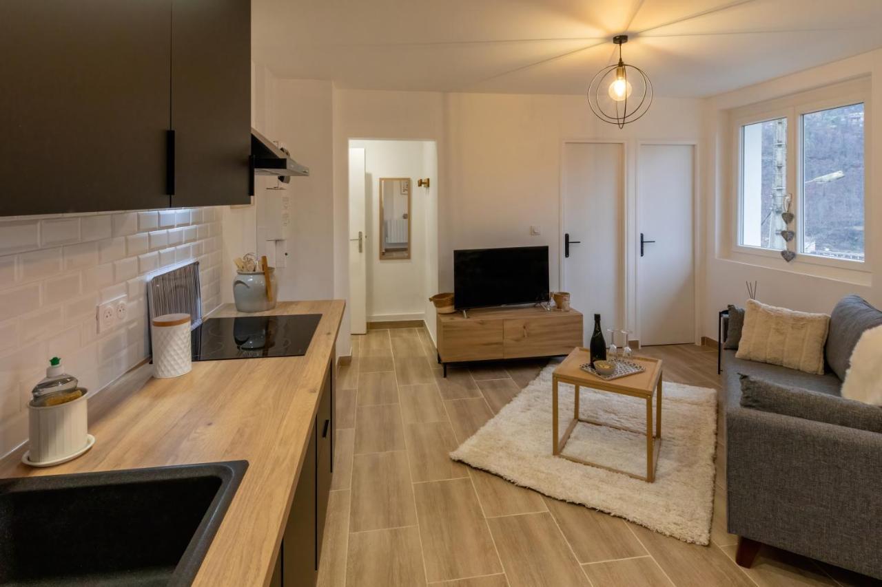 Les Appartements De Clelia Акс-ле-Терм Екстериор снимка